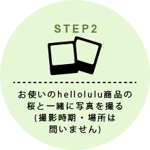 helloluluインスタグラムキャンペーン